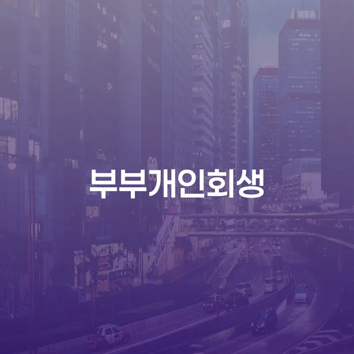 개인파산전문변호사 신용회복 경험 많은 곳에서