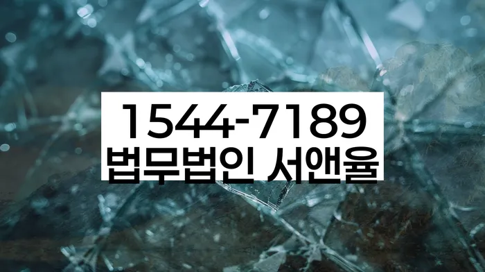 개인회생 금지명령