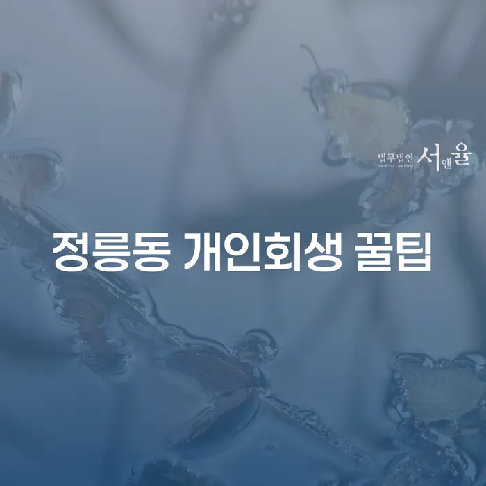 정릉동 개인회생 꿀팁