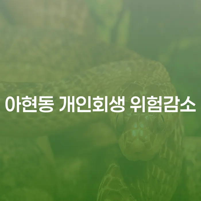 아현동 개인회생 위험감소