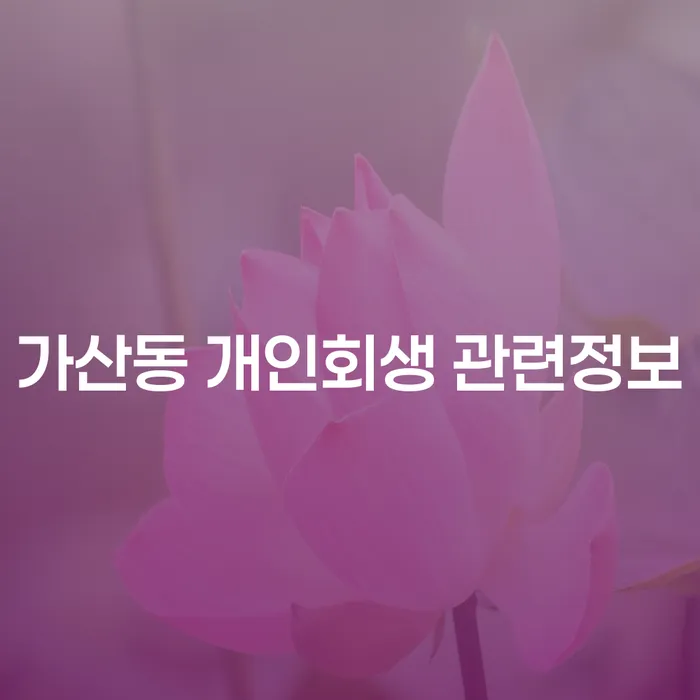 가산동 개인회생 관련정보