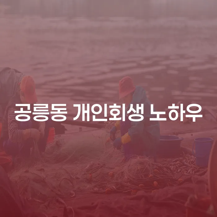 공릉동 개인회생 노하우