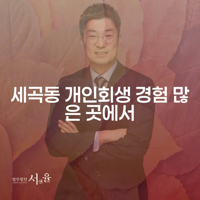 세곡동 개인회생 경험 많은 곳에서