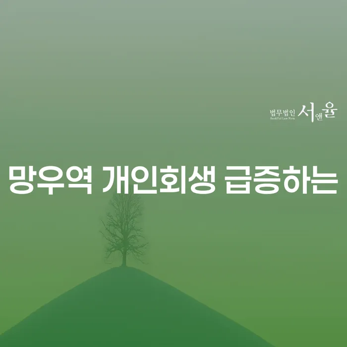 망우역 개인회생 급증하는