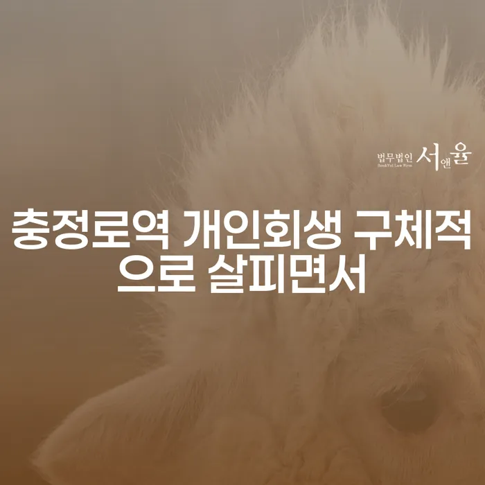충정로역 개인회생 구체적으로 살피면서