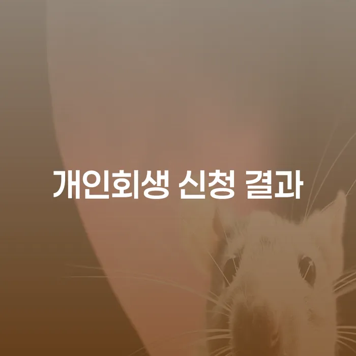 개인회생 신청 결과가 어떻게 달라질까요?