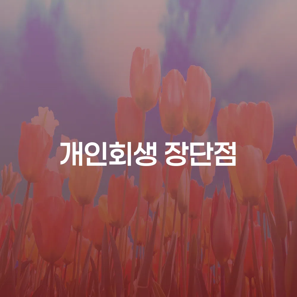 개인회생을 통한 경제적 재기 방법
